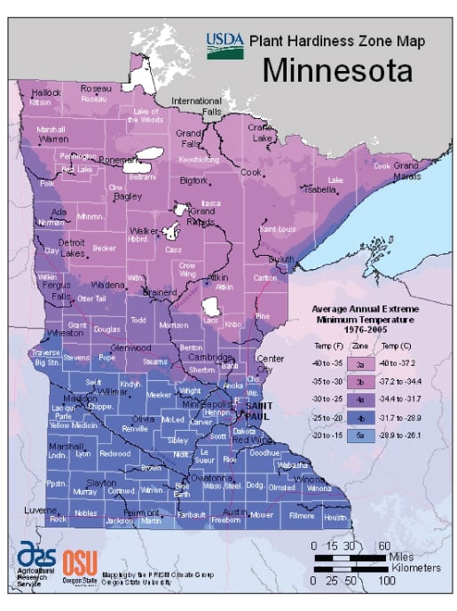 Minnesota Zone Hardiness Map