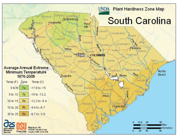 South Carolina Zone Hardiness Map