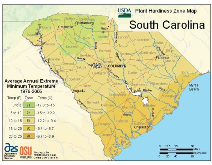 south-carolina-vegetable-planting-calendar south-carolina-vegetable-planting-calendar