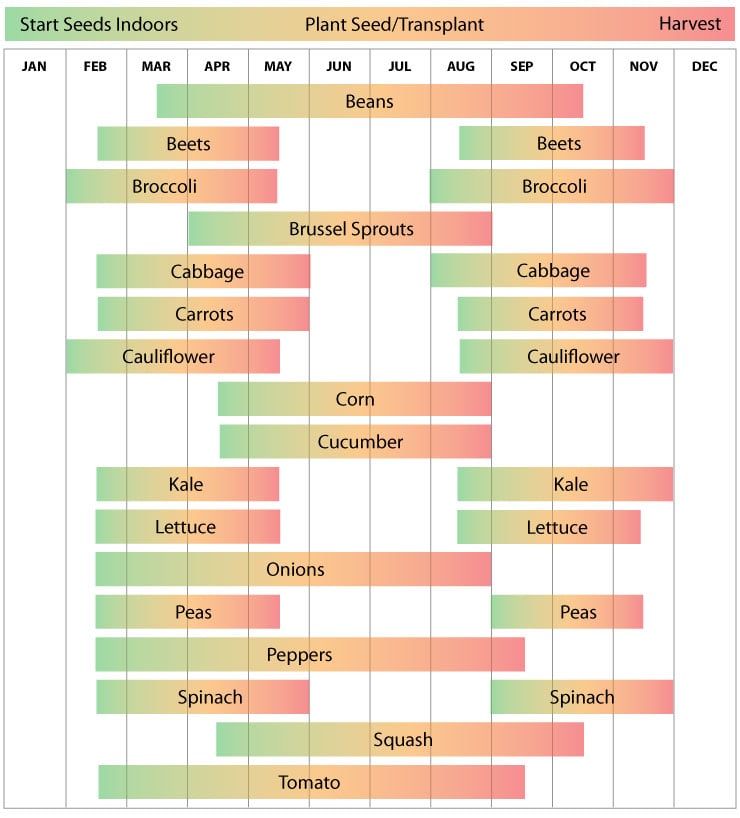 Zone 8 Planting Schedule