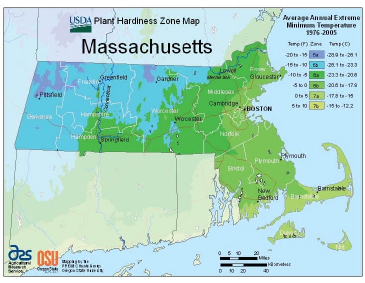 Massachusetts Zone Hardiness Map