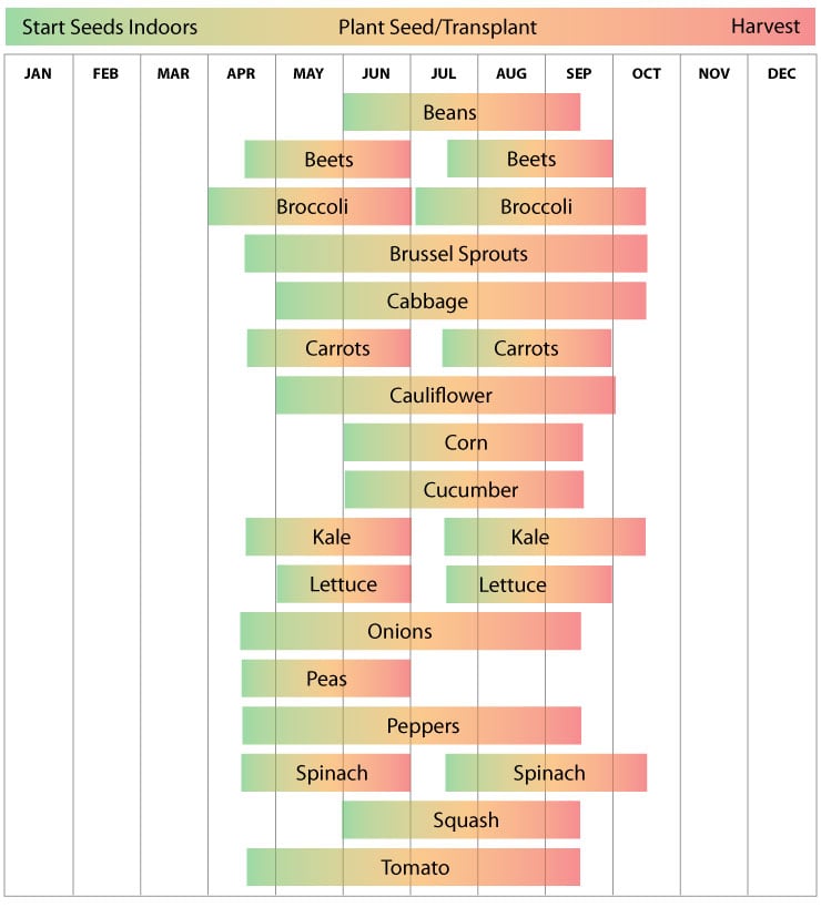 Zone 4 Wisconsin Planting Schedule