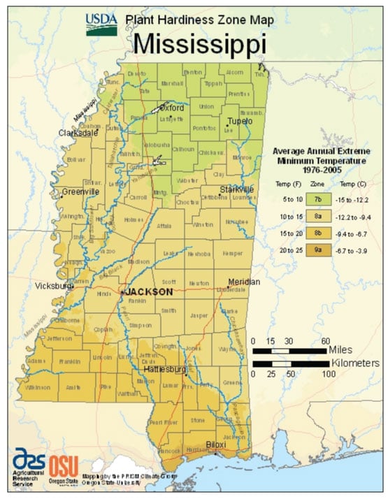 Mississippi Zone Hardiness Map