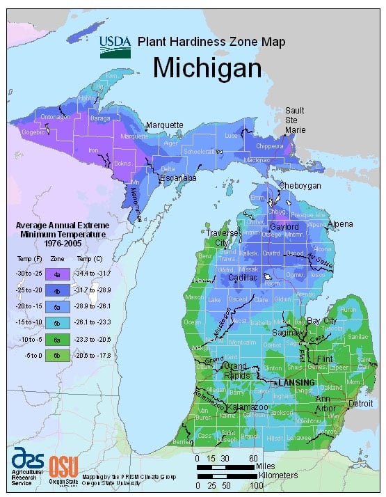 Michigan Zone Hardiness Map