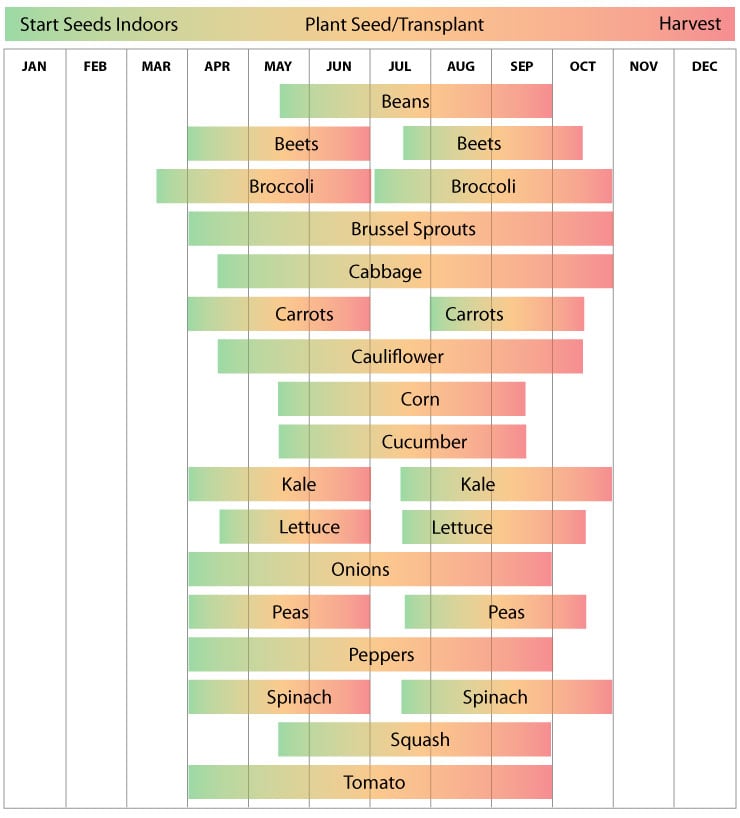 Zone 5 Pennsylvania Garden Schedule