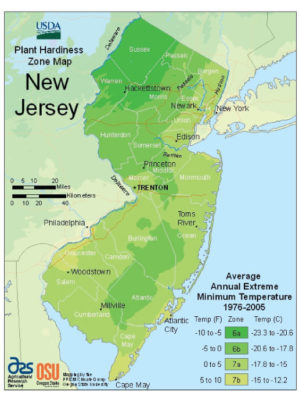 new-jersey-vegetable-planting-calendar new-jersey-vegetable-planting-calendar
