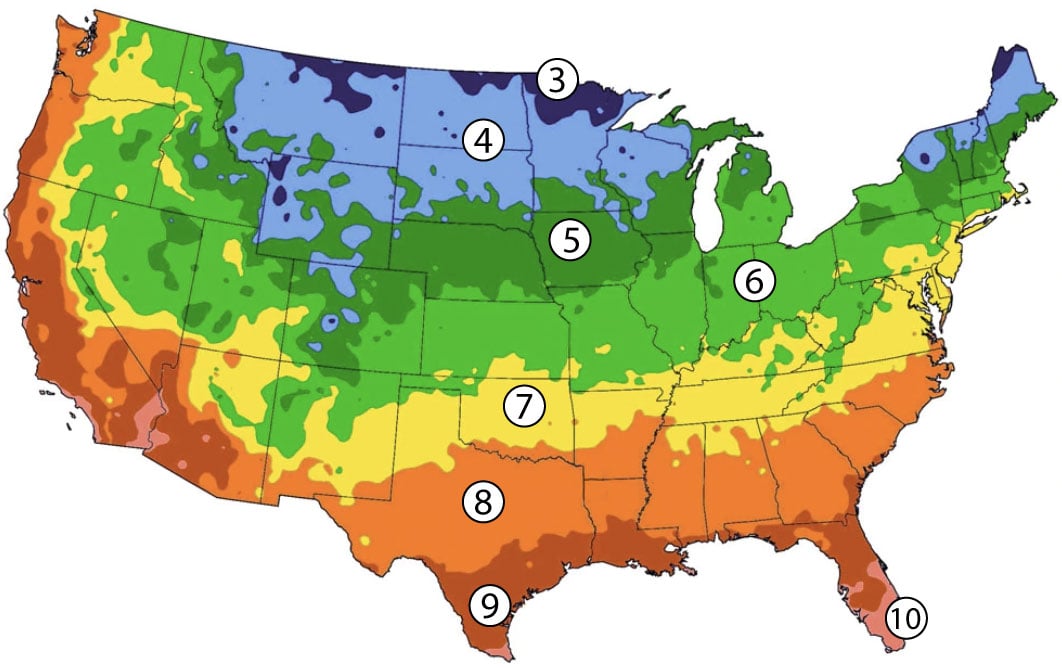 Zone 7 Planting Schedule 2025
