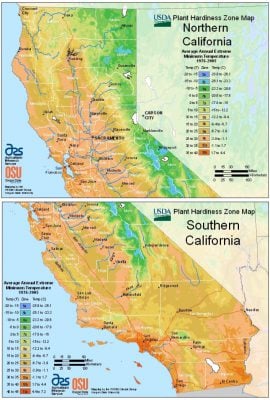 Best Time to Visit California: Climate and temperatures from north to south