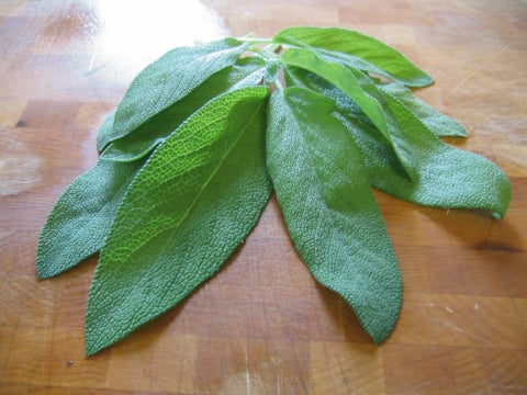 Sage Seeds