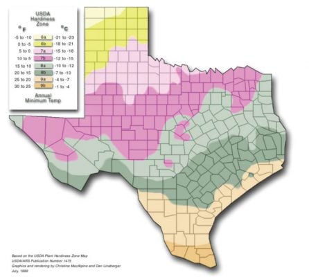 Vegetable Planting Calendar Fort Worth Texas