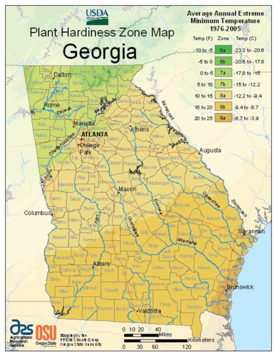 Georgia Zone Hardiness Map