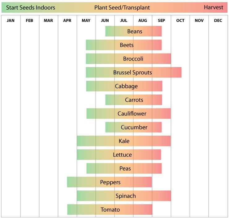 Zone 3 Maine Planting Schedule