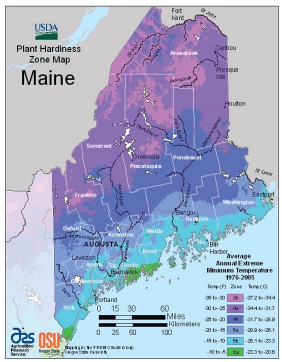 Maine Zone Hardiness Map