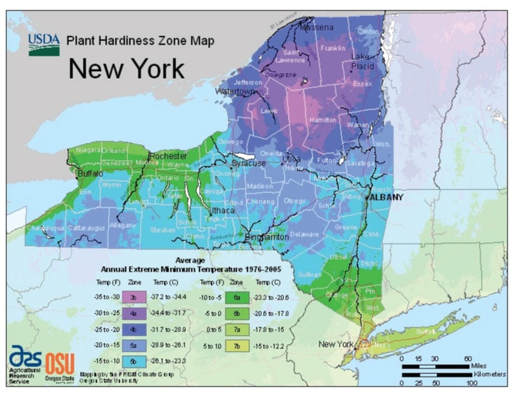 New York Zone Hardiness Map