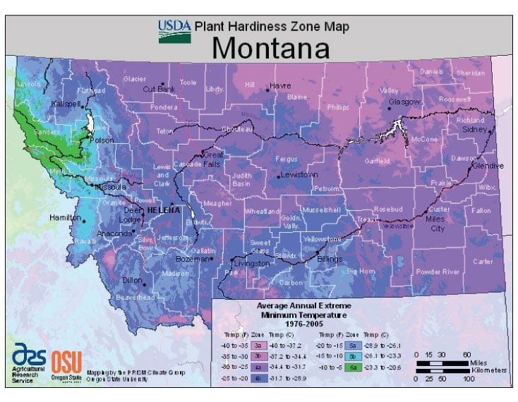 Montana Zone Hardiness Map