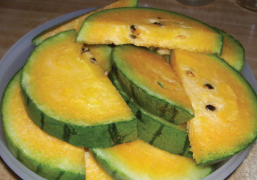 Orange Crunch, (F1) Watermelon Seeds | Urban Farmer