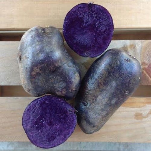 Adirondack Blue, Seed Potatoes Urban Farmer