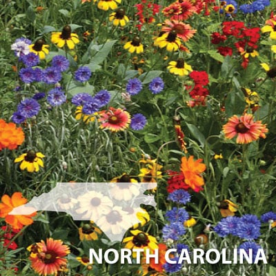 North Carolina Wildflower Week - North Carolina Botanical Garden