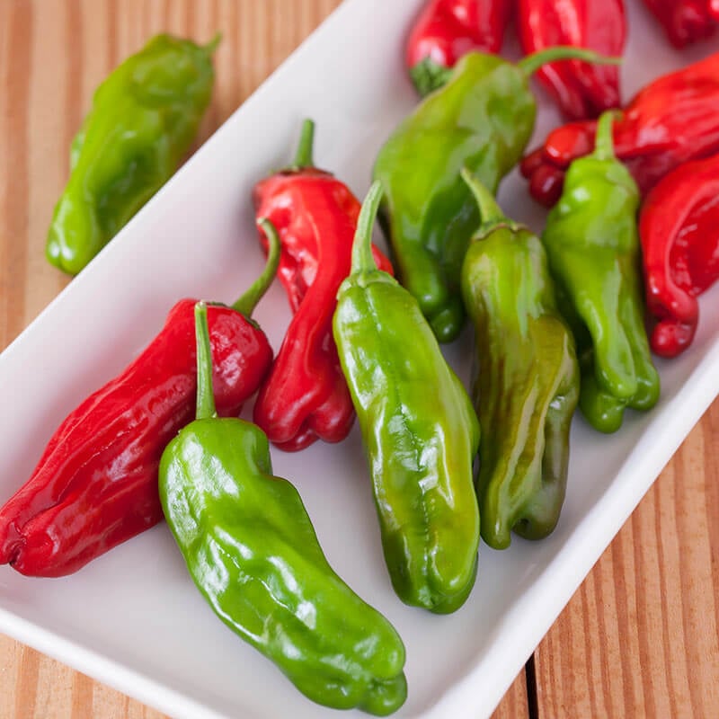Shishito hot chili pepper seeds 