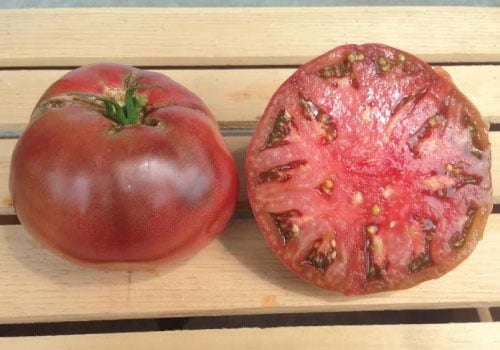 Cherokee Purple Tomato 10 Seeds!!! A Great Beefsteak type Colourful Tomato 