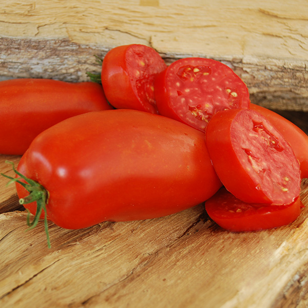 Jersey Devil rouge tomate diable Cornet tôt CAVE BOUTEILLES tomate