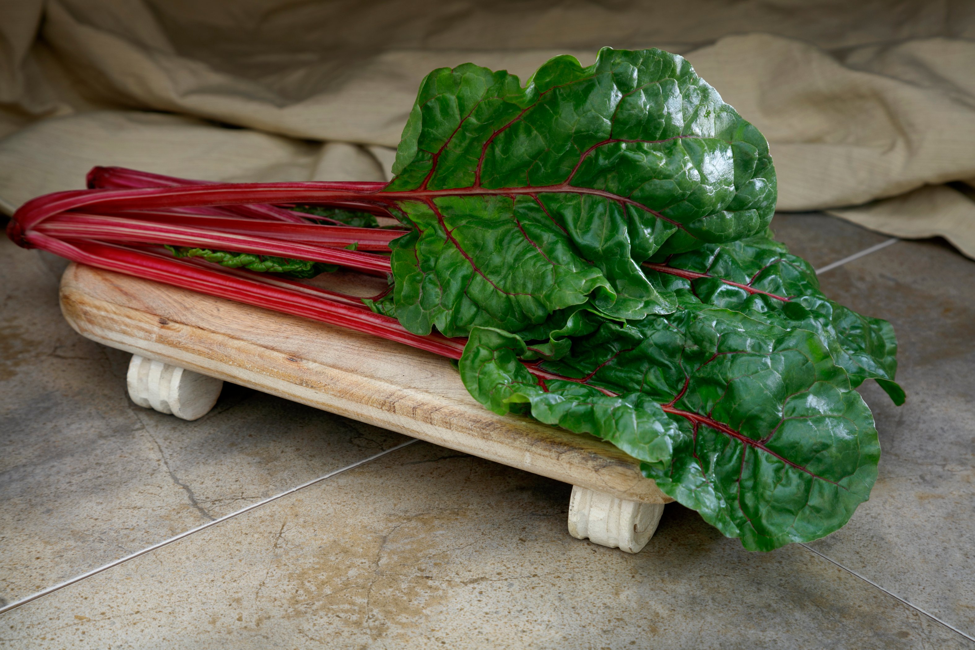 Fire Fresh F1 Swiss Chard Seeds Urban Farmer