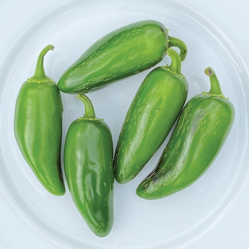 Jalapeno M, Pepper Seeds Urban Farmer