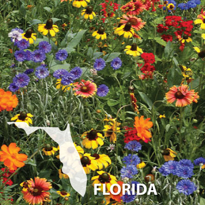Florida Blend, Wildflower Seed | All Mixes