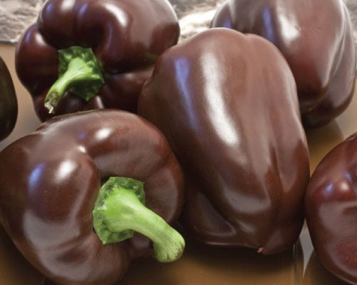10 Sweet Chocolate sweet pepper seed  Free ship  Buy 4 get 1 Free !! 