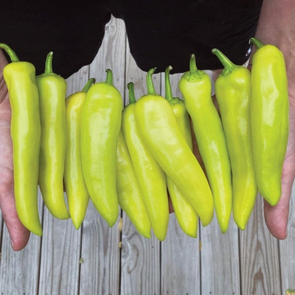 Hungarian Hot Wax, Pepper Seeds Urban Farmer