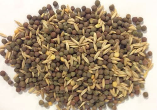 Field Peas and Oats Blend, Blends