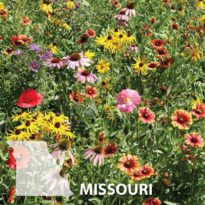 Missouri Blend, Wildflower Seed