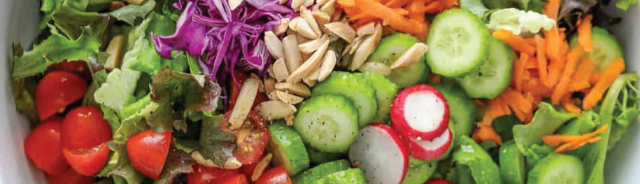 Salad Garden Vegetables