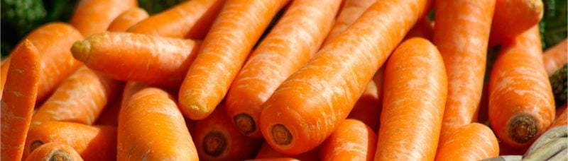 Heat Tolerant Vegetables