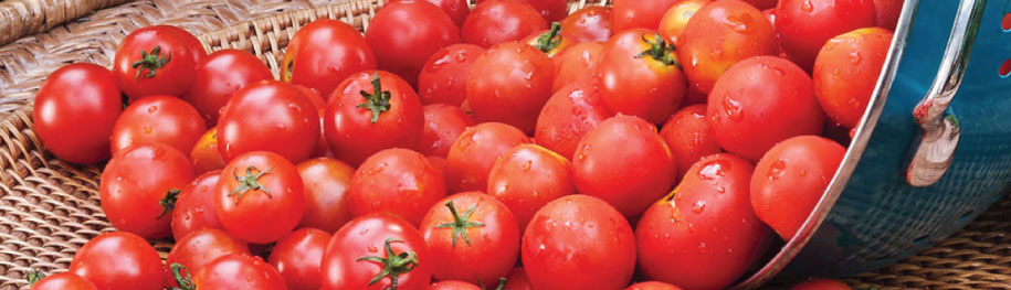 High Yielding Vegetables