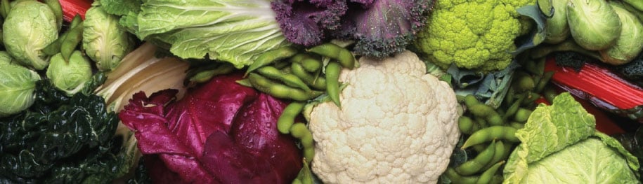 Cool Season Vegetables